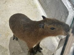 -成都银泰城