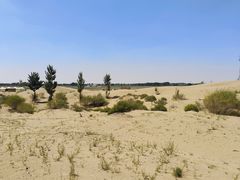 -亿利库布其七星湖沙漠生态旅游区