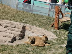 -大连森林动物园