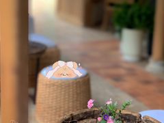 -翠贝卡&Mama Kelly Brunch Coffee(河西店)