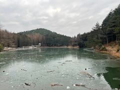 -四明山国家森林公园