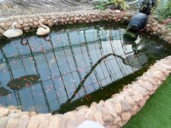 -北戴河集发农业梦想王国