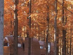 -黄海国家森林公园