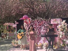 -合肥滨湖国家森林公园