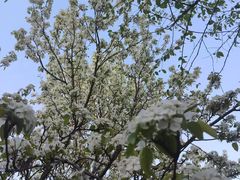 -长春公园(普阳街道)