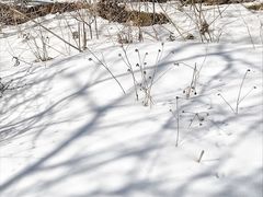 -太子岭滑雪场
