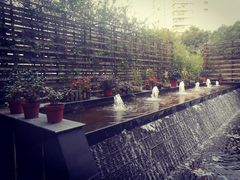 -上海柏阳君亭酒店(复旦大学店)