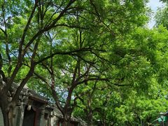 -北京国子监胡同