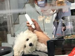 -宠物家(角门东店)