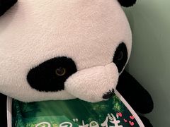 -眉州东坡·熊猫主题餐厅(枫蓝店)