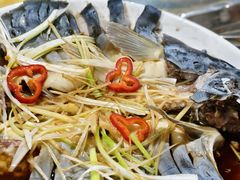 -煲来饱去冷水鱼