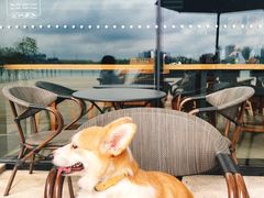 -星巴克(成都科学城店)