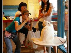 -Babycat私家御饼屋(龙头路一店)