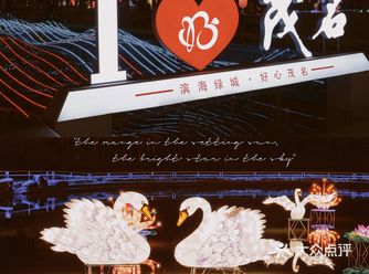 元宵节城市夜景，巨型郁金香灯花海绝美