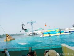 -秦皇岛乐岛海洋王国