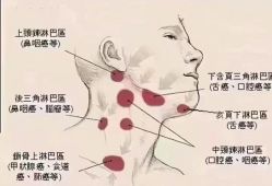 -名发世家烫染