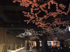 -蓝鲸湾汤泉(包河店)