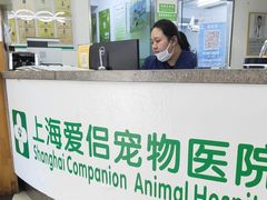 -爱侣宠医·鹦鹉专科·小型哺乳类·异宠专科(灵石路店)