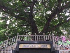 -水围村