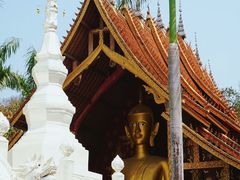 -西双版纳傣族园