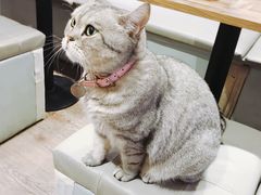 -小时光咖啡馆(开森度假森林店)