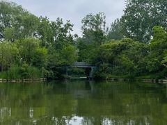 -溱湖国家湿地公园