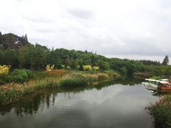 -上海长兴岛郊野公园