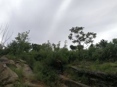 -白水寺森林公园