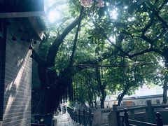-小洲村