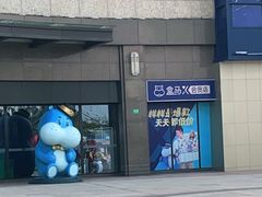 -盒马X会员店(上海森兰商都店)
