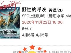 -SFC上影影城(港汇永华IMAX激光店)