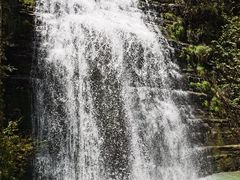-鹿院坪生态旅游景区