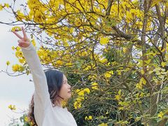 -南国桃园旅游度假区