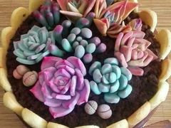 -双季花艺园艺市场(浦东店)