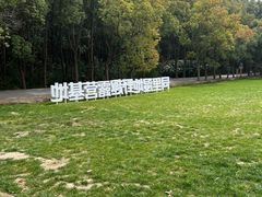-同里国家湿地公园