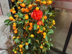 -聚春园·福龙泉澡堂(温泉店)