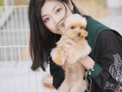 -青奢宠物·青奢猫舍