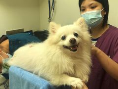 -爱诺耐芙动物医院(万博店)