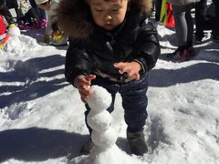 -金鼎雪山牦牛杂火锅(理县总店)