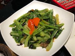 -高第街56号餐厅(泰安万达店)