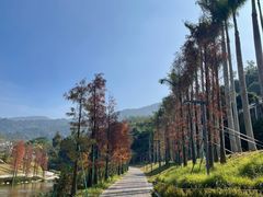 -梧桐山风景名胜区