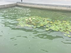 -水上明月·湖景餐厅