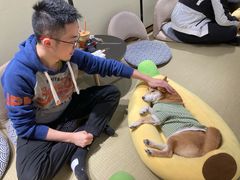 -逗柴咖啡屋·狗咖猫咖宠物桌游
