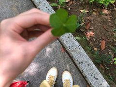 -神光山国家森林公园