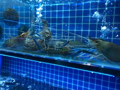 水产区-吉源大排档·鱼生·海鲜(烧烤彩印厂店)