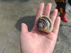 -北海金海湾红树林生态旅游区