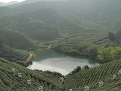 -龙坞茶村