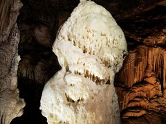 -波斯托伊纳溶洞