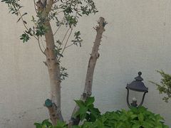 -那家面包房(珠江路店)