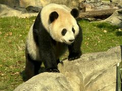 -武汉动物园